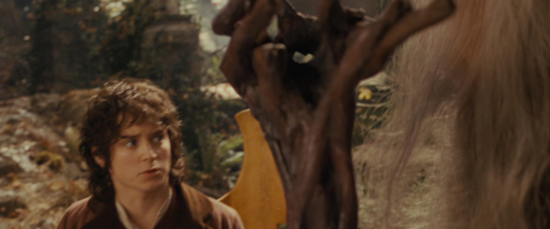 The Lord of the Rings: The Fellowship of the Ring (2001) HD screenshot 12191