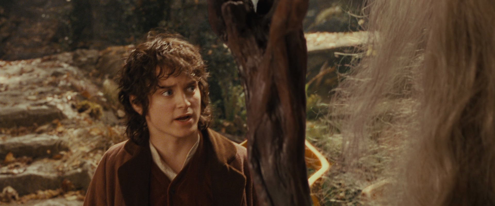 The Lord of the Rings: The Fellowship of the Ring (2001) screencap 12192