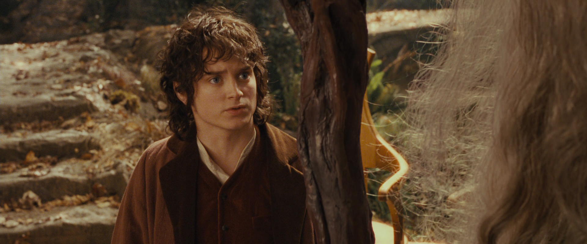 The Lord of the Rings: The Fellowship of the Ring (2001) movie still 12193