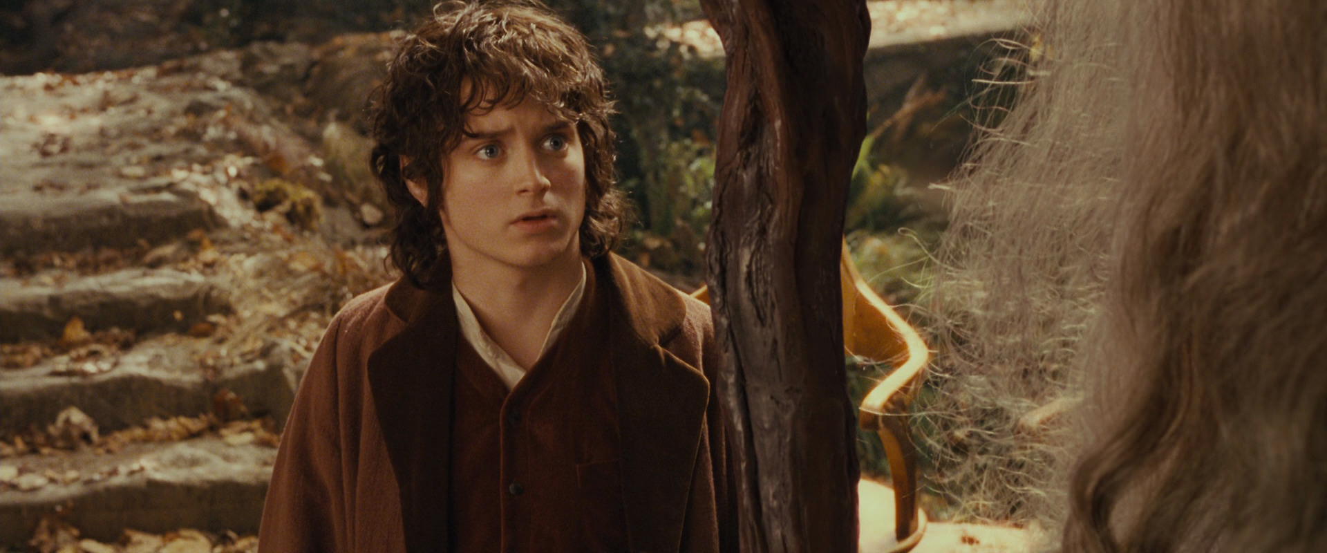 The Lord of the Rings: The Fellowship of the Ring (2001) HD screenshot 12194