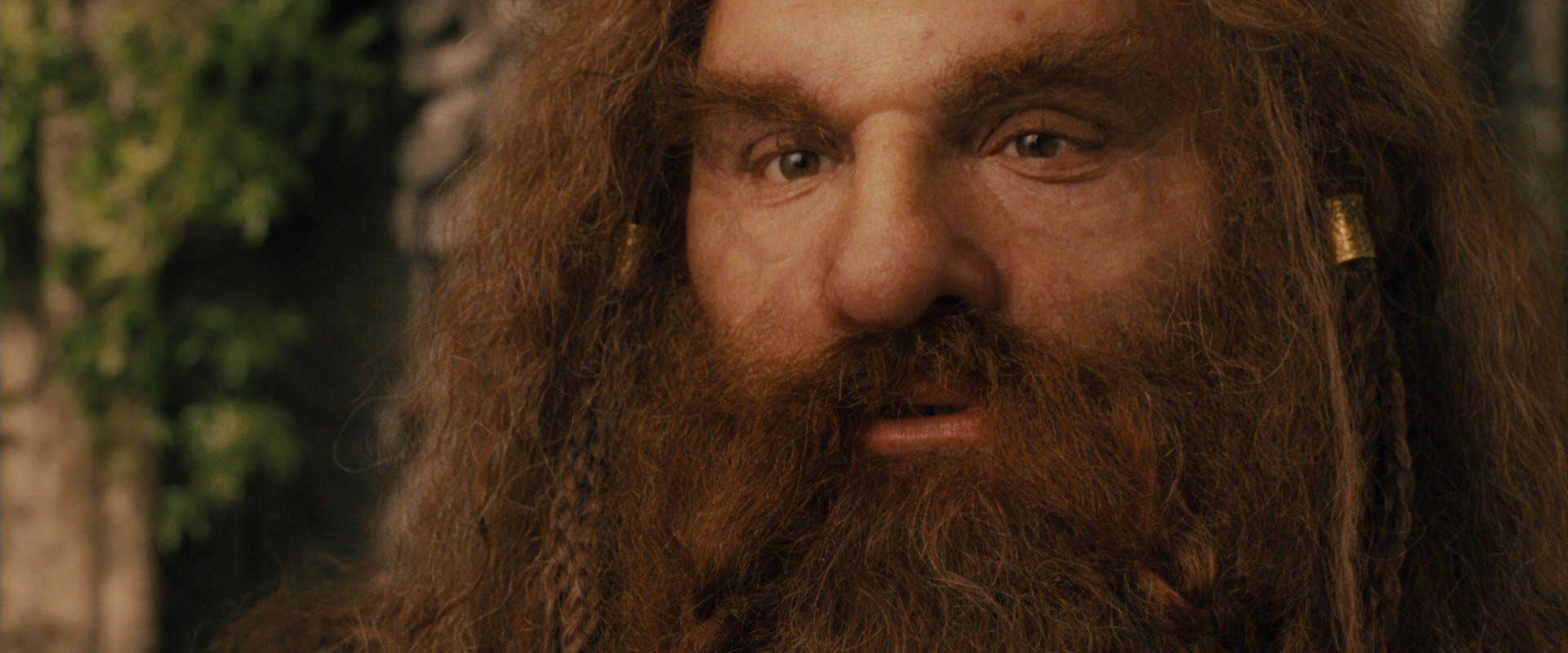 The Lord of the Rings: The Fellowship of the Ring (2001) screencap 12207