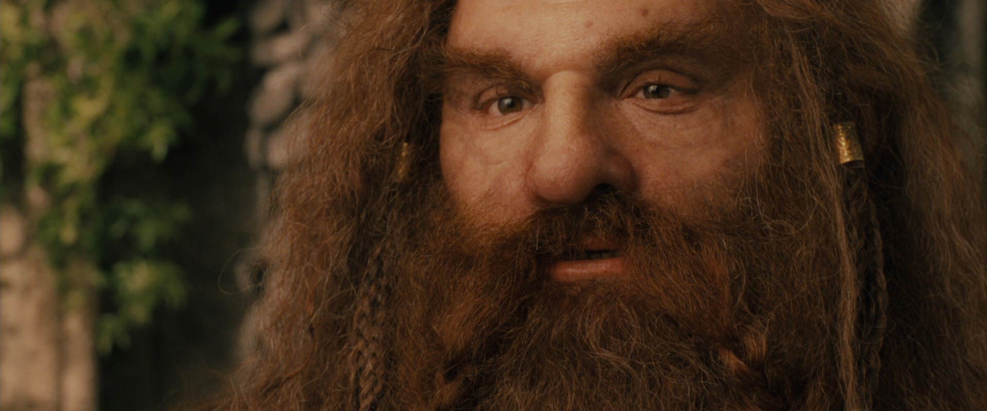 The Lord of the Rings: The Fellowship of the Ring (2001) movie still 12208