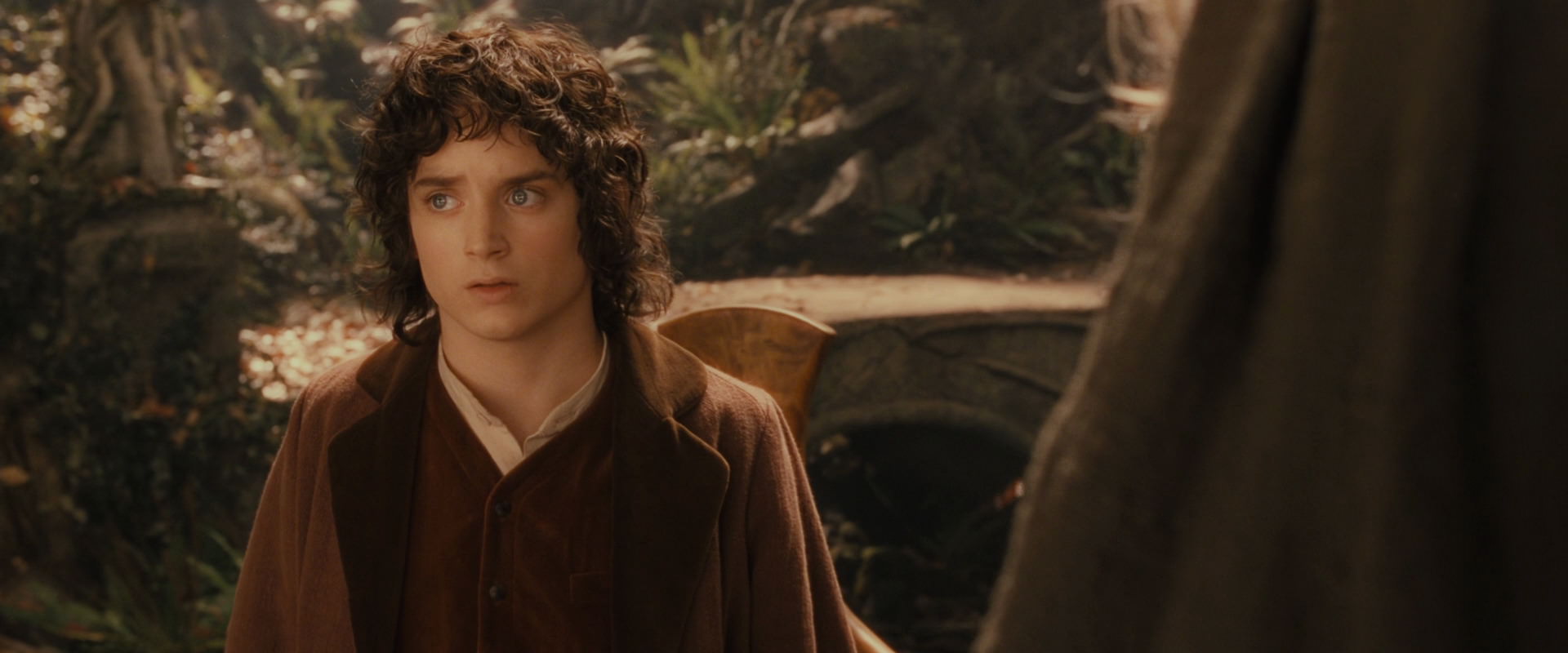 The Lord of the Rings: The Fellowship of the Ring (2001) screencap 12210