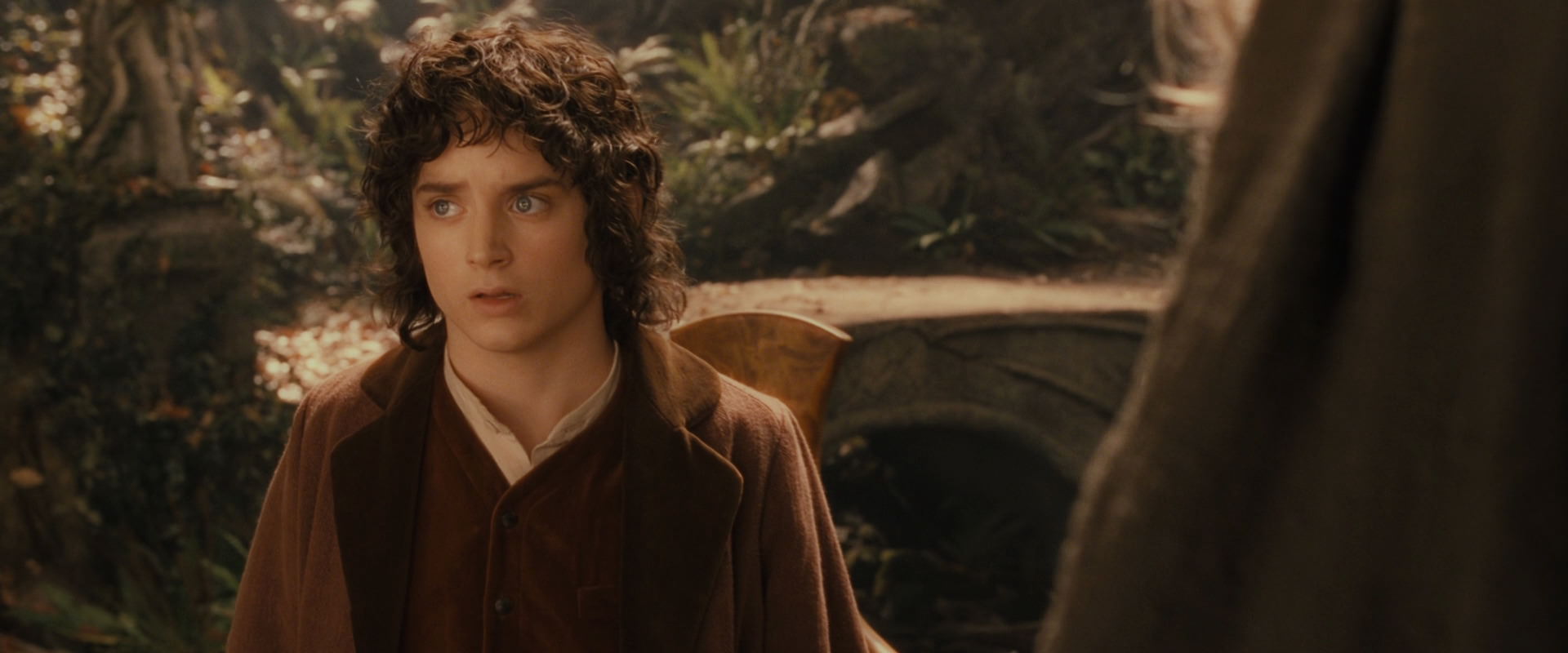 The Lord of the Rings: The Fellowship of the Ring (2001) movie still 12211