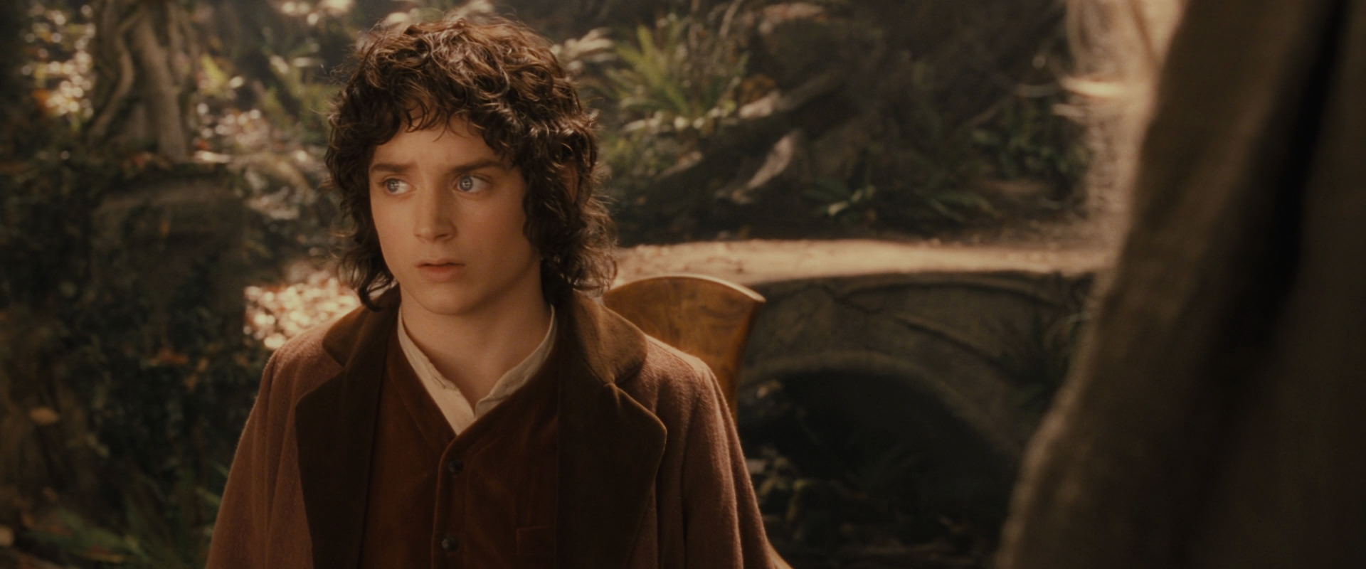The Lord of the Rings: The Fellowship of the Ring (2001) HD screenshot 12212