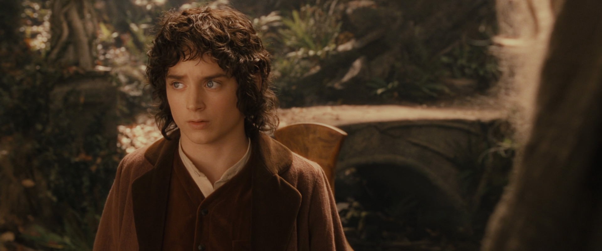 The Lord of the Rings: The Fellowship of the Ring (2001) screencap 12213