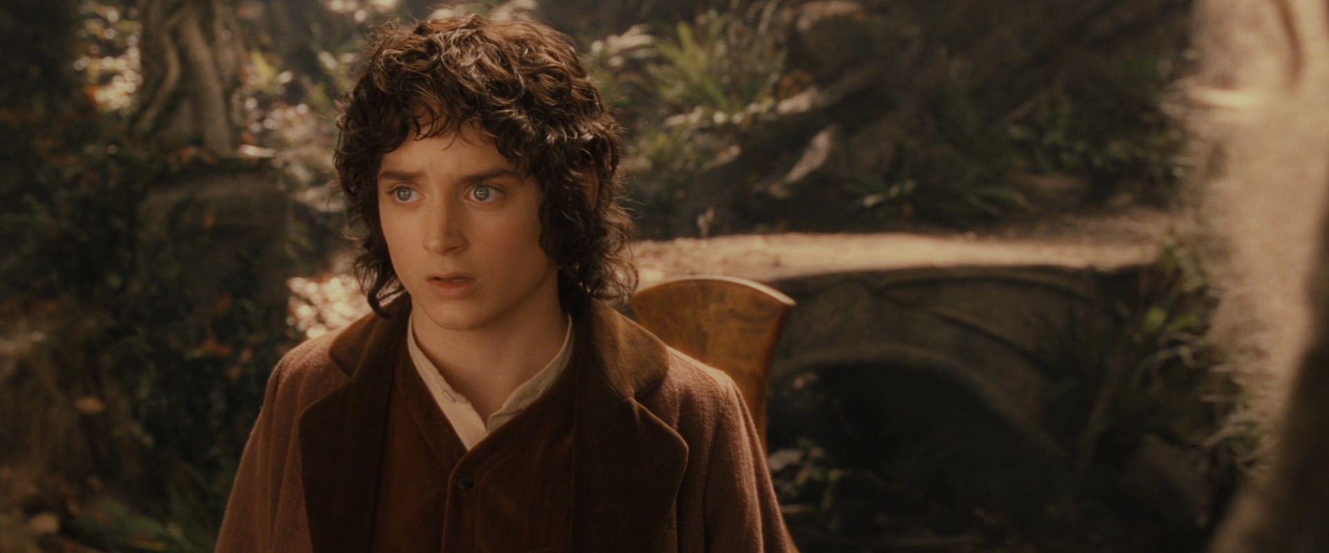The Lord of the Rings: The Fellowship of the Ring (2001) movie still 12214
