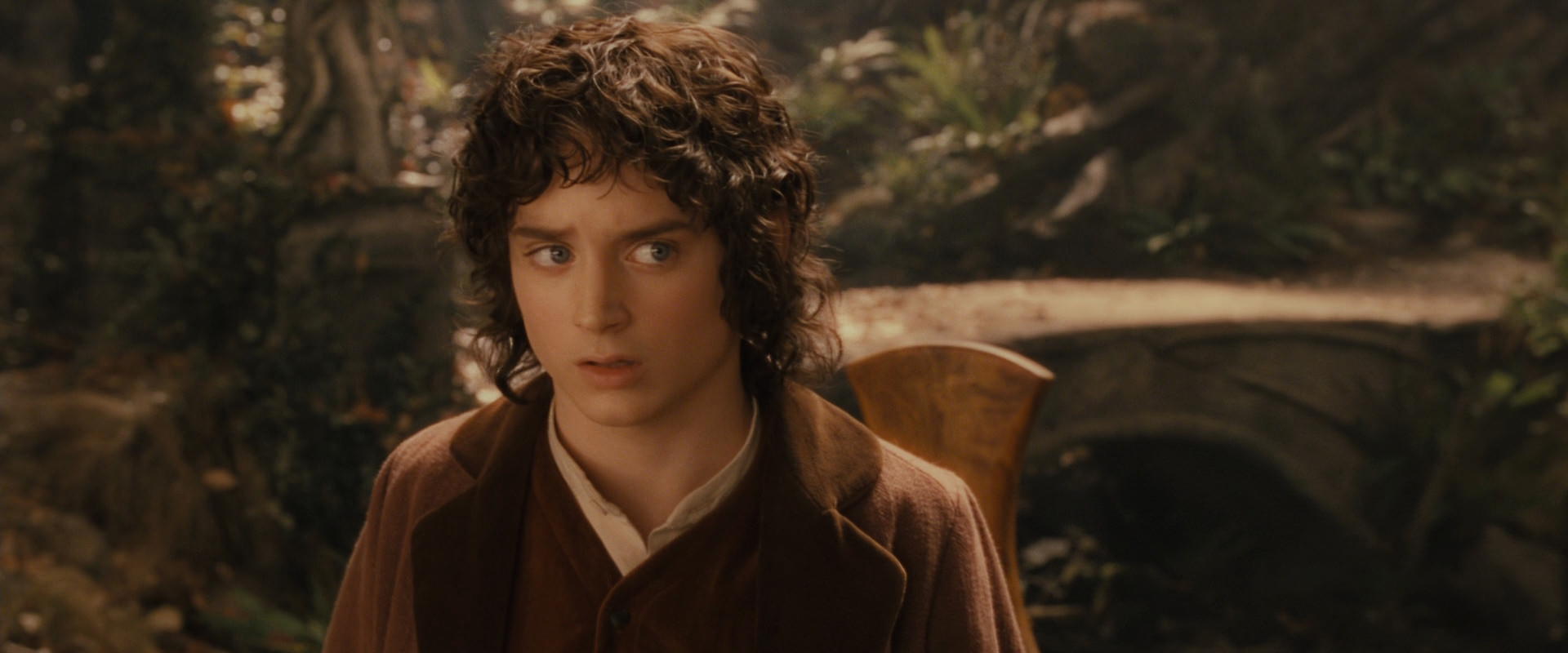 The Lord of the Rings: The Fellowship of the Ring (2001) screencap 12216