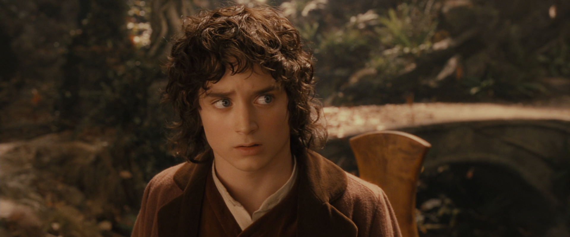 The Lord of the Rings: The Fellowship of the Ring (2001) screencap 12219