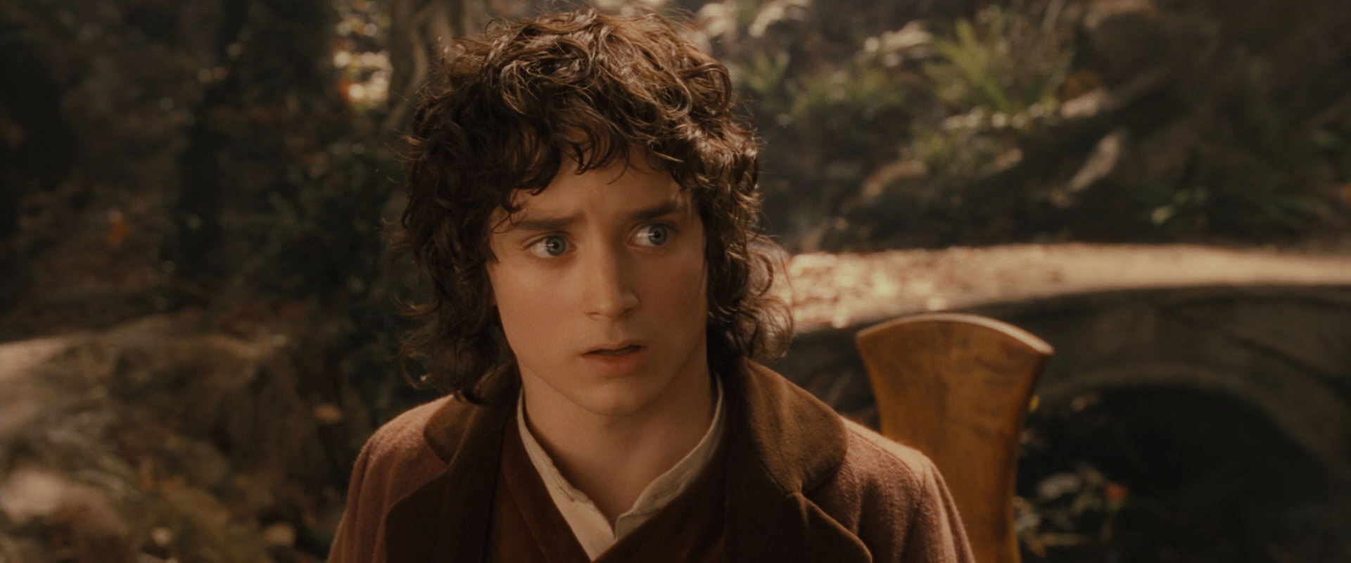 The Lord of the Rings: The Fellowship of the Ring (2001) movie still 12220