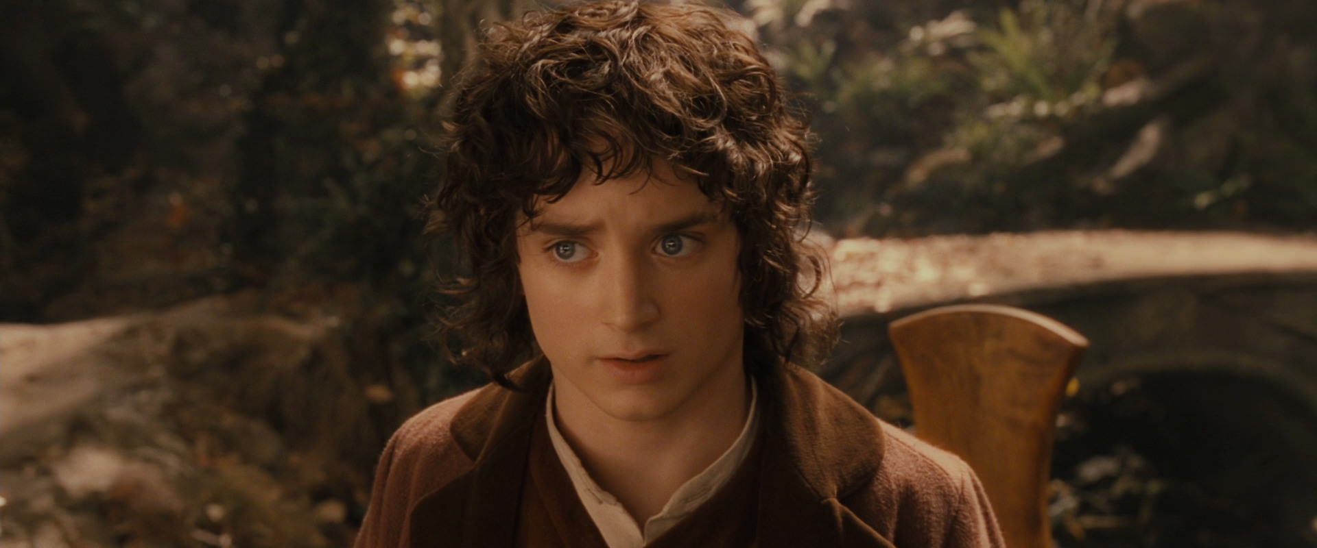 The Lord of the Rings: The Fellowship of the Ring (2001) screencap 12222