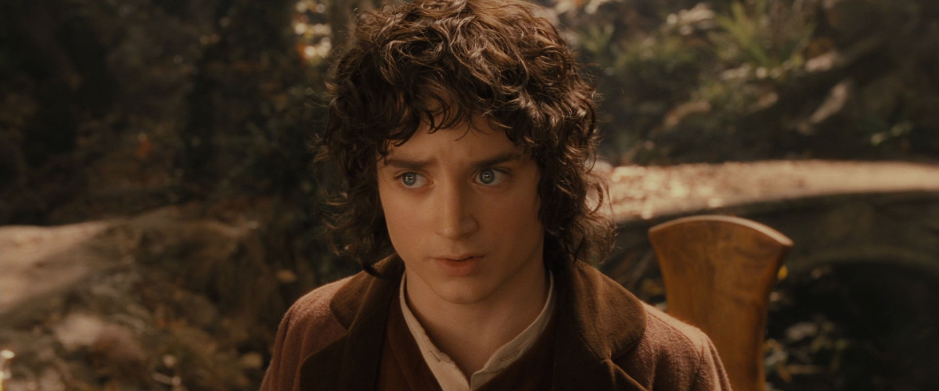 The Lord of the Rings: The Fellowship of the Ring (2001) movie still 12223