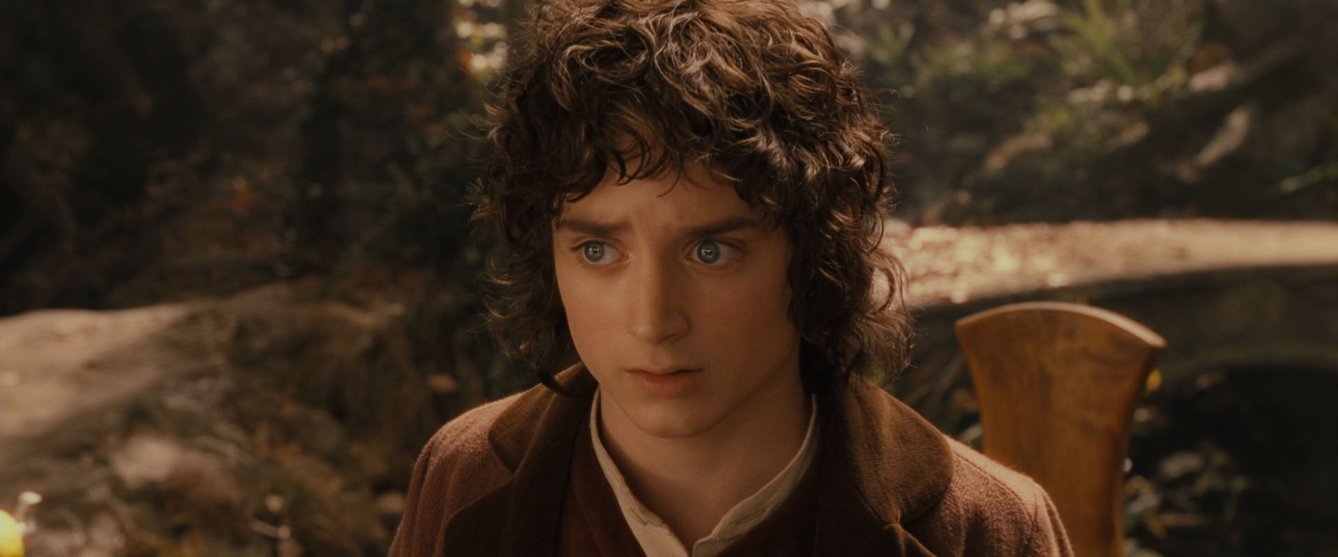 The Lord of the Rings: The Fellowship of the Ring (2001) screencap 12225