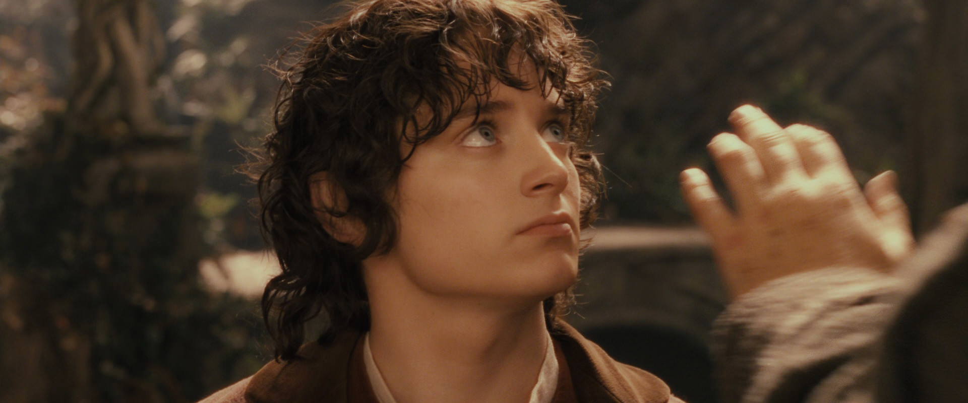 The Lord of the Rings: The Fellowship of the Ring (2001) screencap 12237