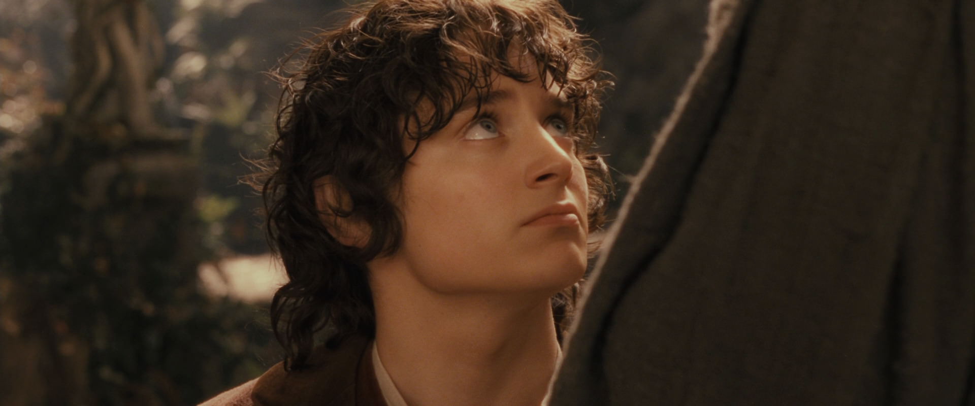 The Lord of the Rings: The Fellowship of the Ring (2001) movie still 12238