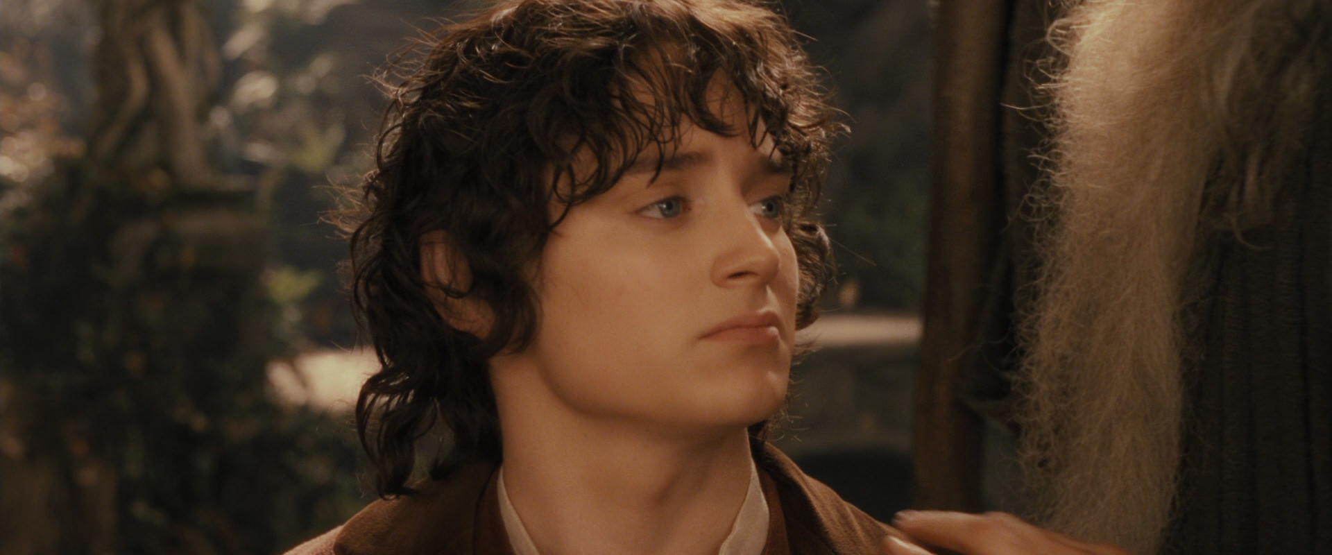 The Lord of the Rings: The Fellowship of the Ring (2001) screencap 12240