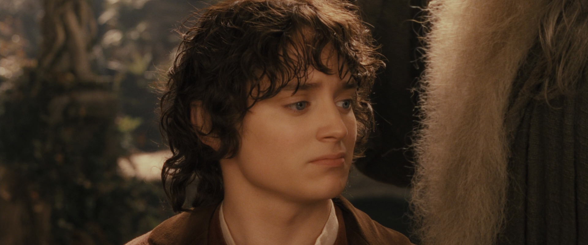 The Lord of the Rings: The Fellowship of the Ring (2001) movie still 12241