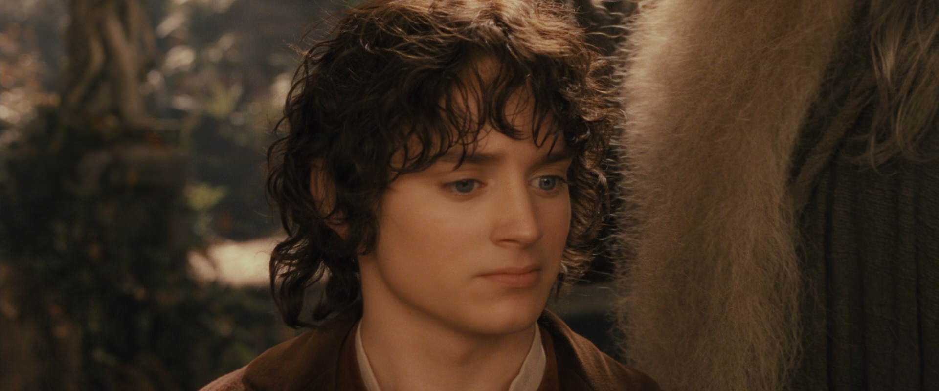 The Lord of the Rings: The Fellowship of the Ring (2001) HD screenshot 12242