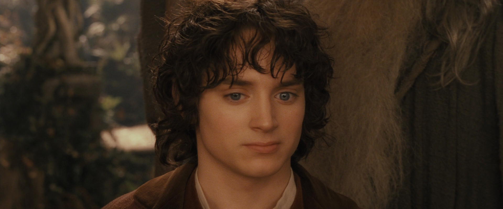 The Lord of the Rings: The Fellowship of the Ring (2001) screencap 12243
