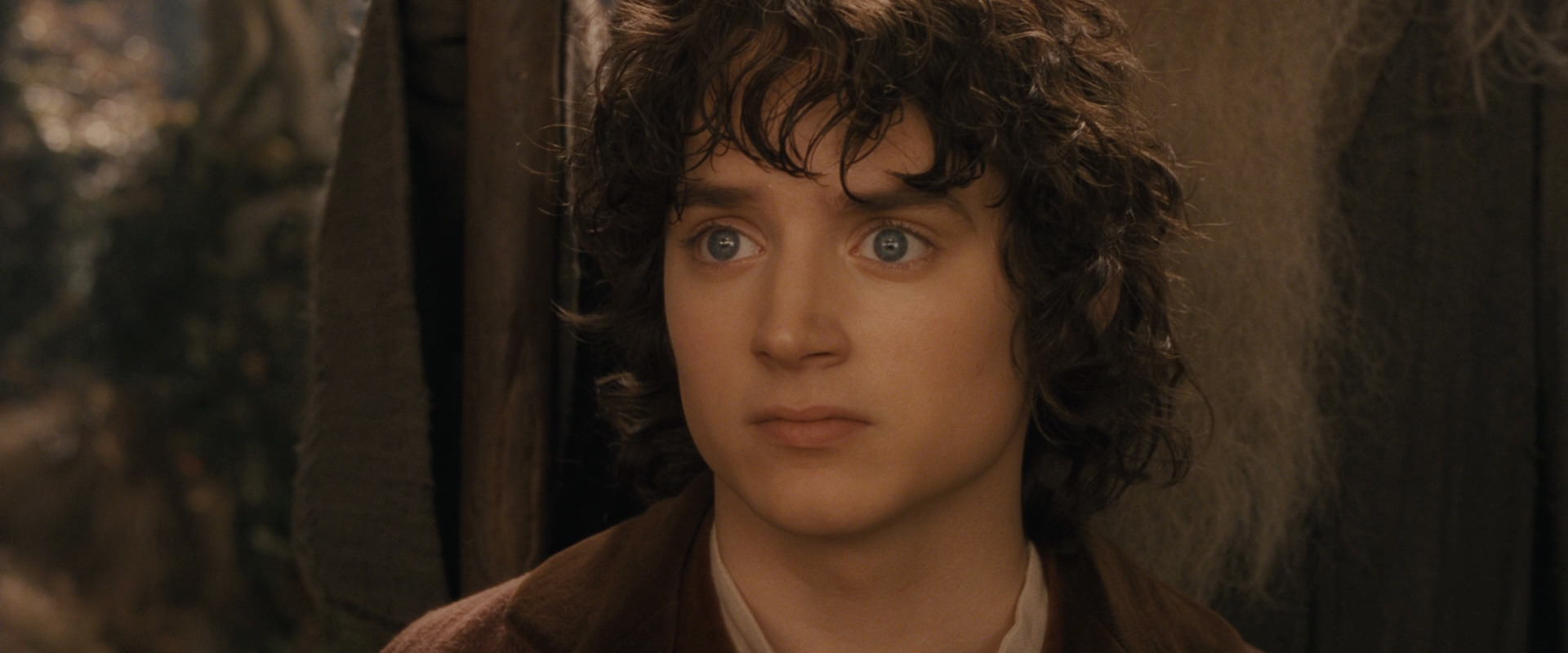 The Lord of the Rings: The Fellowship of the Ring (2001) screencap 12252