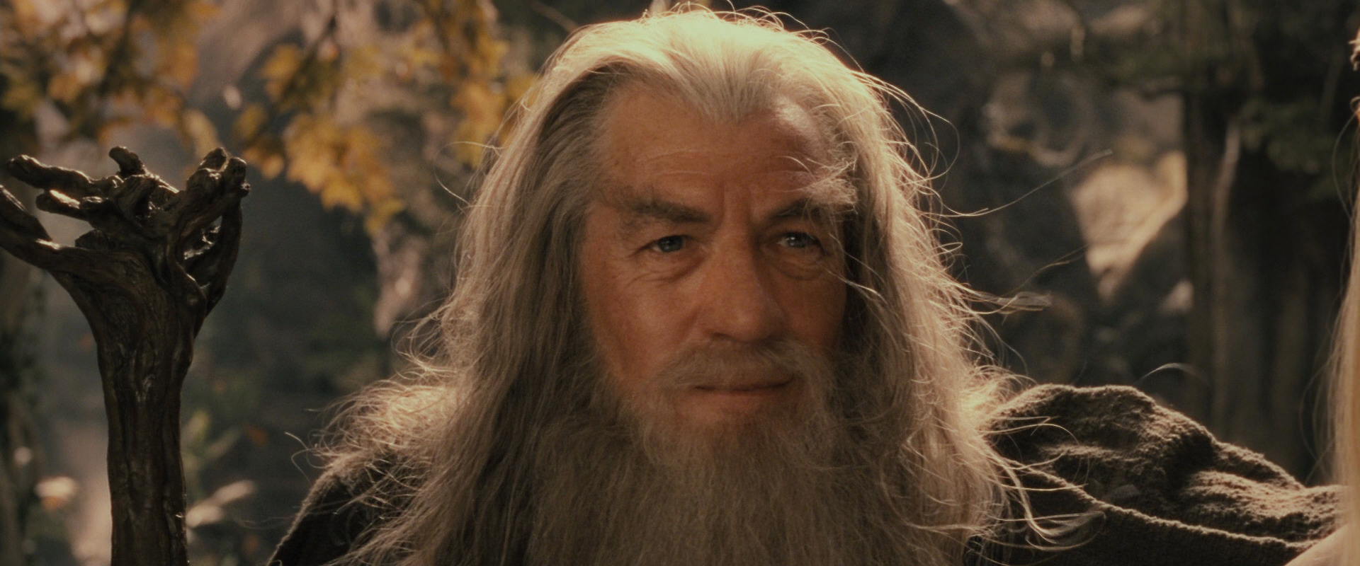 The Lord of the Rings: The Fellowship of the Ring (2001) screencap 12267
