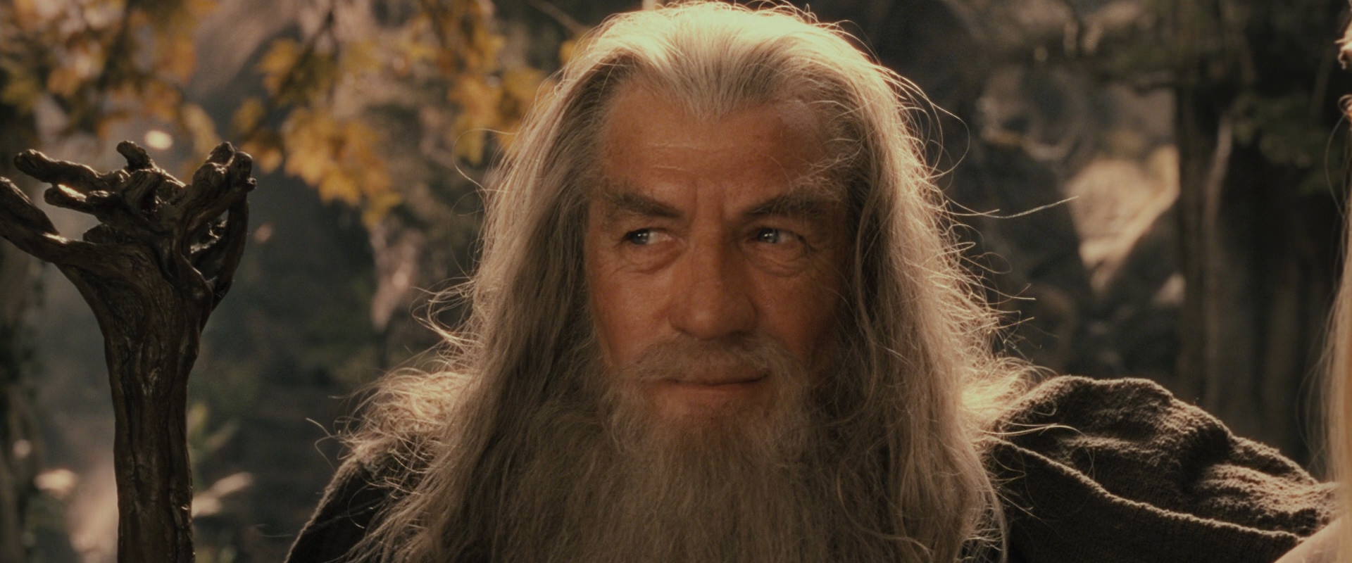 The Lord of the Rings: The Fellowship of the Ring (2001) movie still 12268