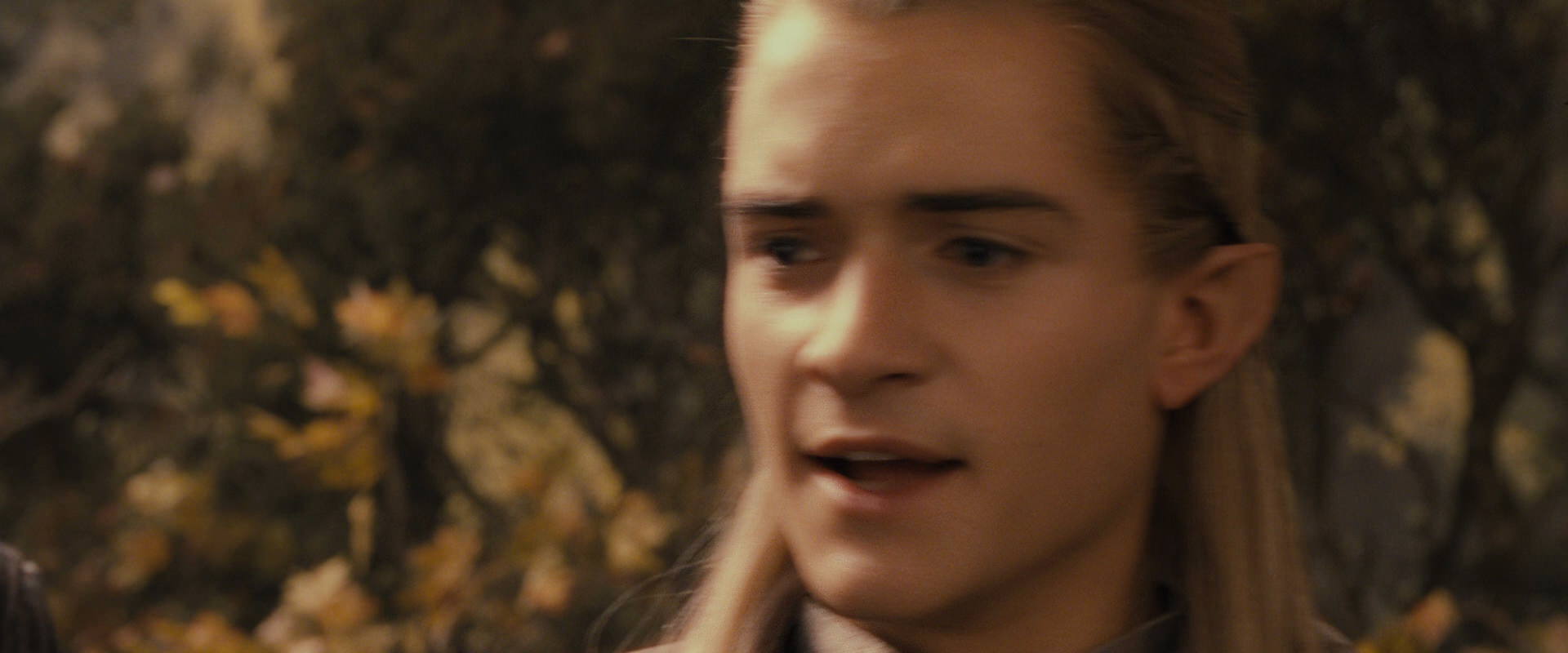 The Lord of the Rings: The Fellowship of the Ring (2001) screencap 12273