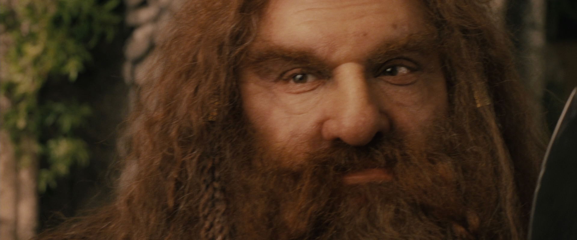The Lord of the Rings: The Fellowship of the Ring (2001) screencap 12282