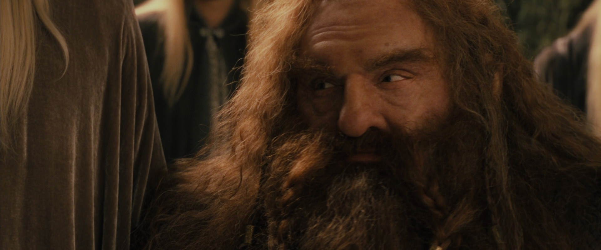 The Lord of the Rings: The Fellowship of the Ring (2001) screencap 12291