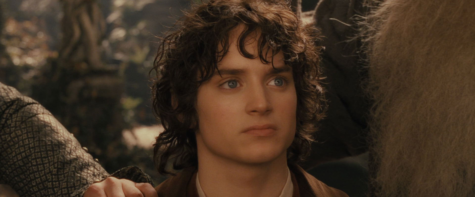 The Lord of the Rings: The Fellowship of the Ring (2001) movie still 12301