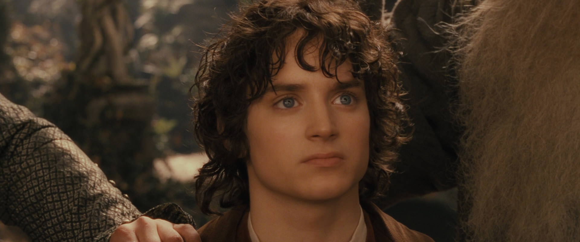 The Lord of the Rings: The Fellowship of the Ring (2001) screencap 12303