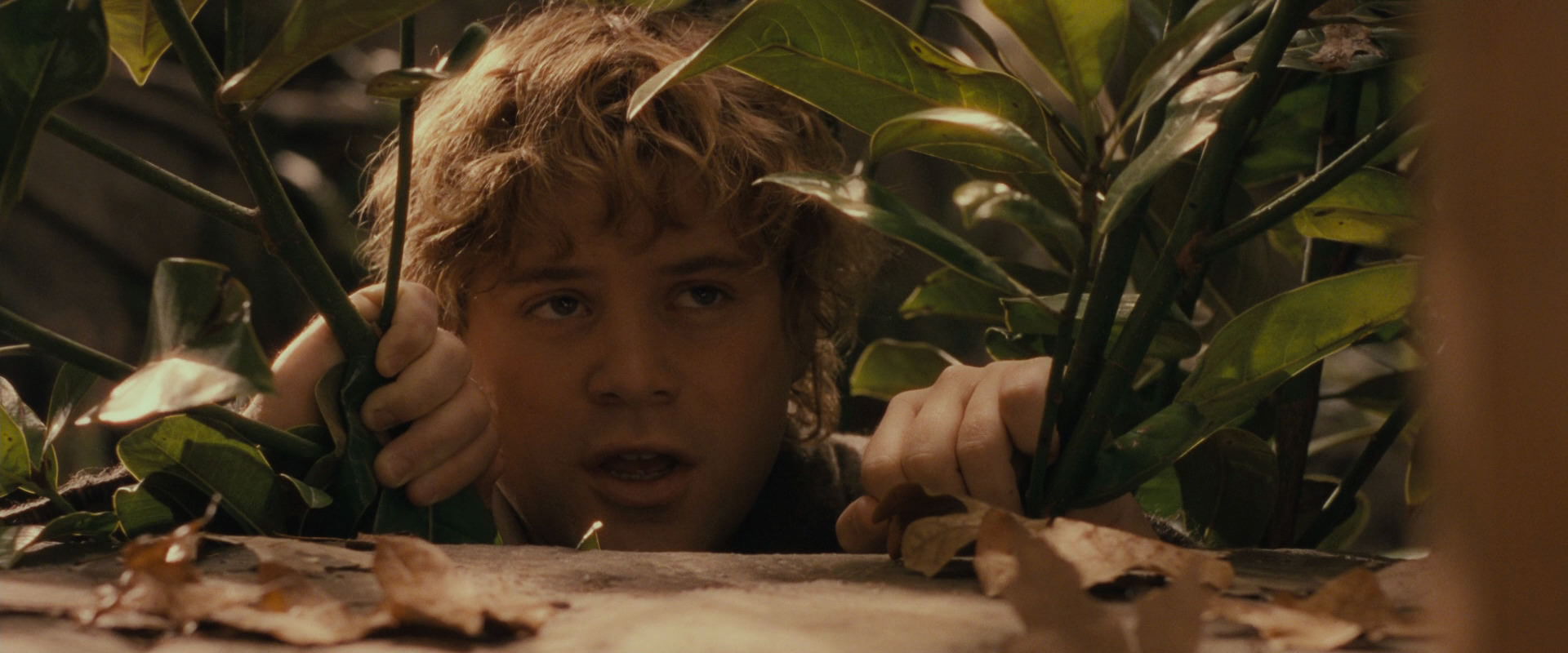 The Lord of the Rings: The Fellowship of the Ring (2001) screencap 12318