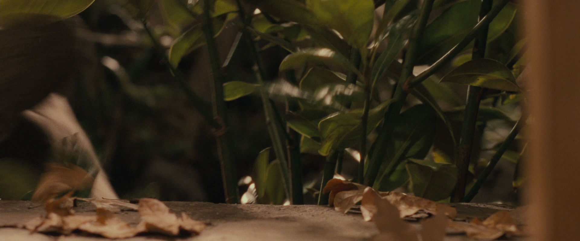 The Lord of the Rings: The Fellowship of the Ring (2001) HD screenshot 12320