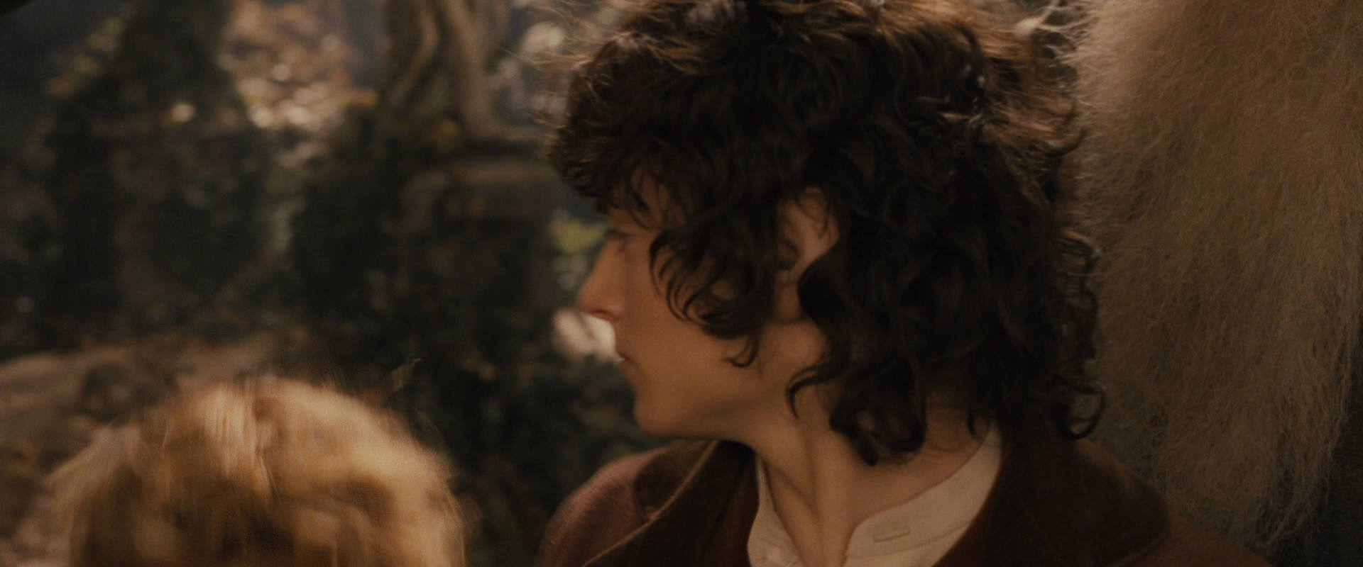 The Lord of the Rings: The Fellowship of the Ring (2001) screencap 12324