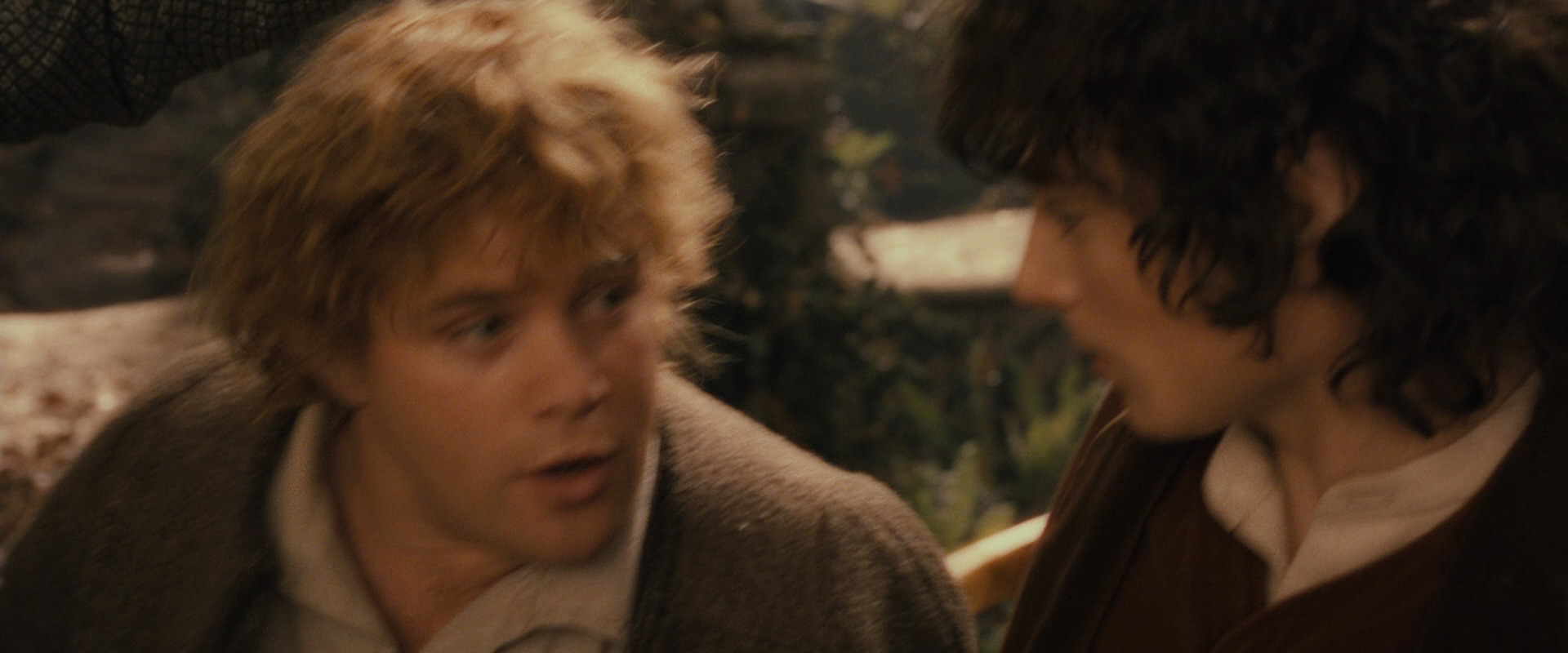The Lord of the Rings: The Fellowship of the Ring (2001) movie still 12325