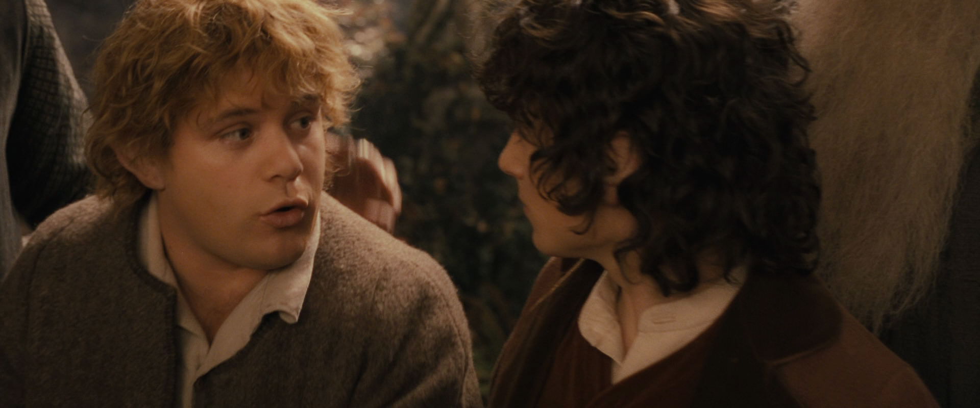 The Lord of the Rings: The Fellowship of the Ring (2001) screencap 12327
