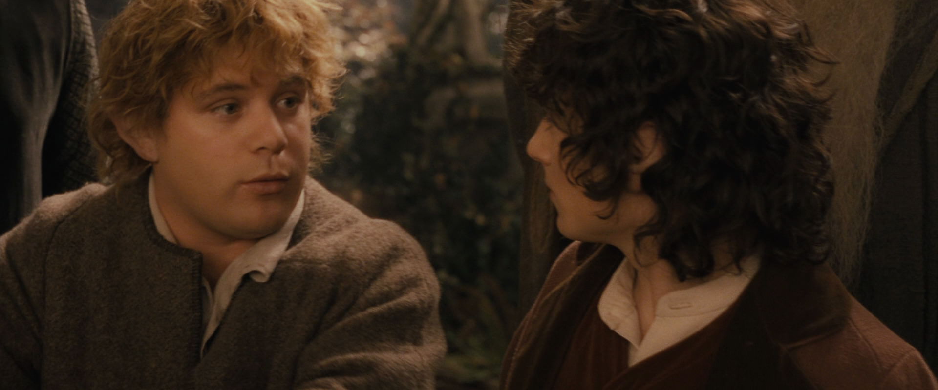 The Lord of the Rings: The Fellowship of the Ring (2001) movie still 12328
