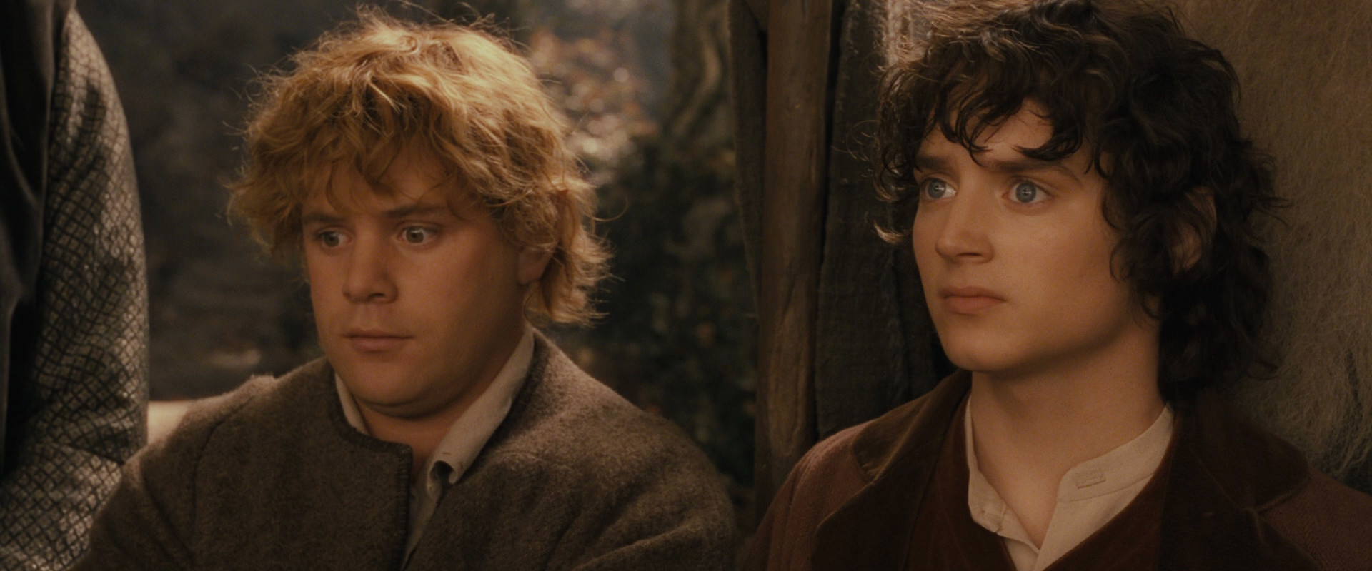 The Lord of the Rings: The Fellowship of the Ring (2001) movie still 12334