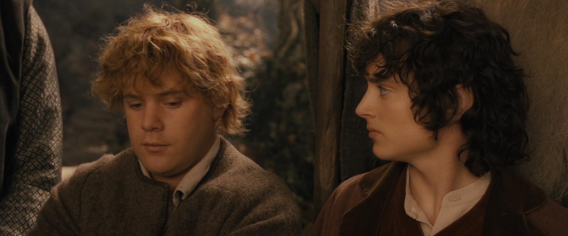 The Lord of the Rings: The Fellowship of the Ring (2001) HD screenshot 12335