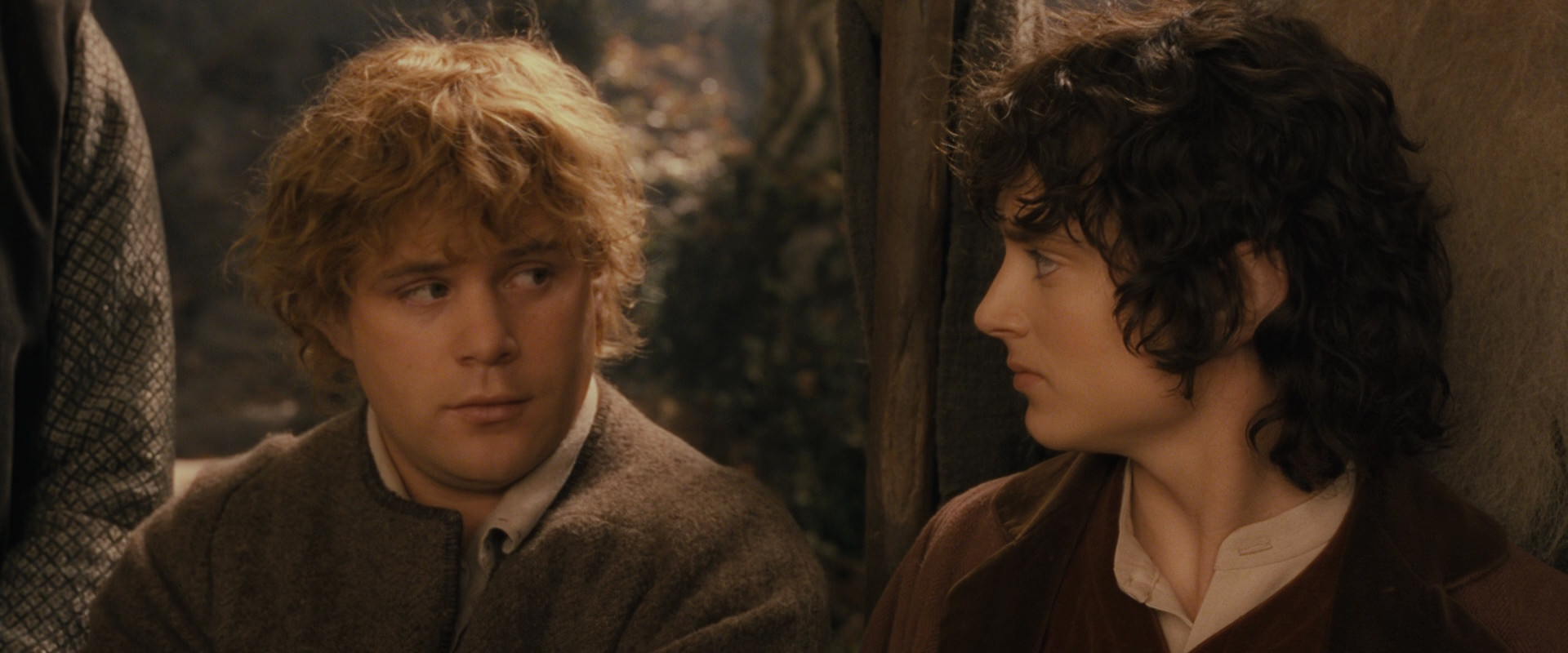 The Lord of the Rings: The Fellowship of the Ring (2001) screencap 12336
