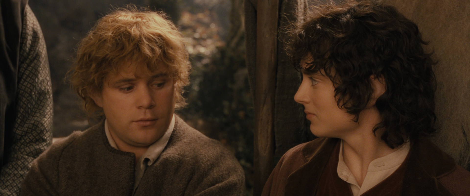 The Lord of the Rings: The Fellowship of the Ring (2001) movie still 12337