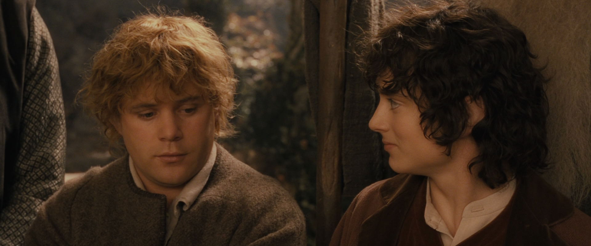 The Lord of the Rings: The Fellowship of the Ring (2001) HD screenshot 12338