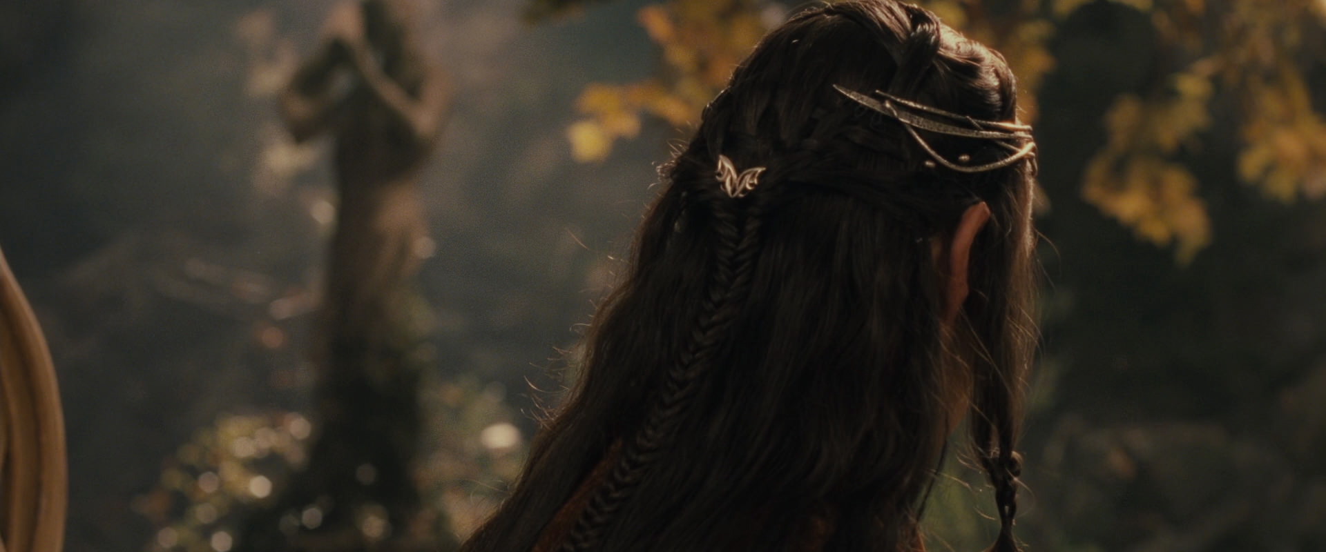The Lord of the Rings: The Fellowship of the Ring (2001) screencap 12348