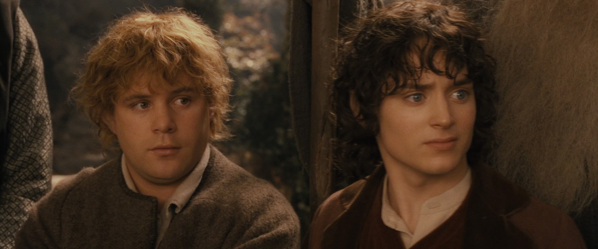 The Lord of the Rings: The Fellowship of the Ring (2001) screencap 12357