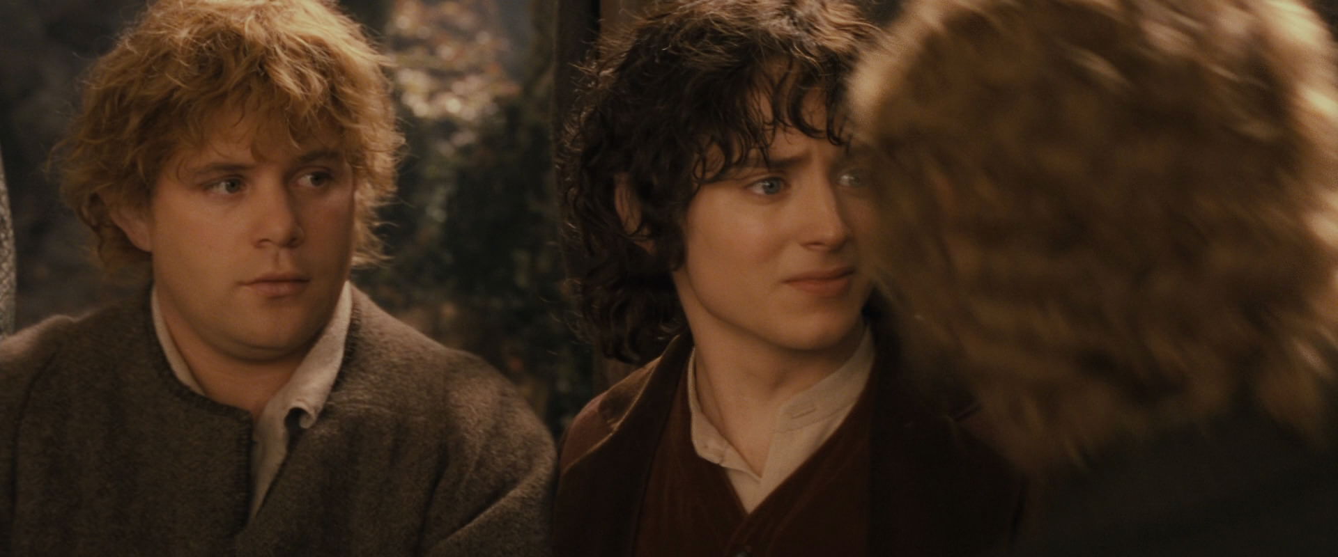 The Lord of the Rings: The Fellowship of the Ring (2001) movie still 12358
