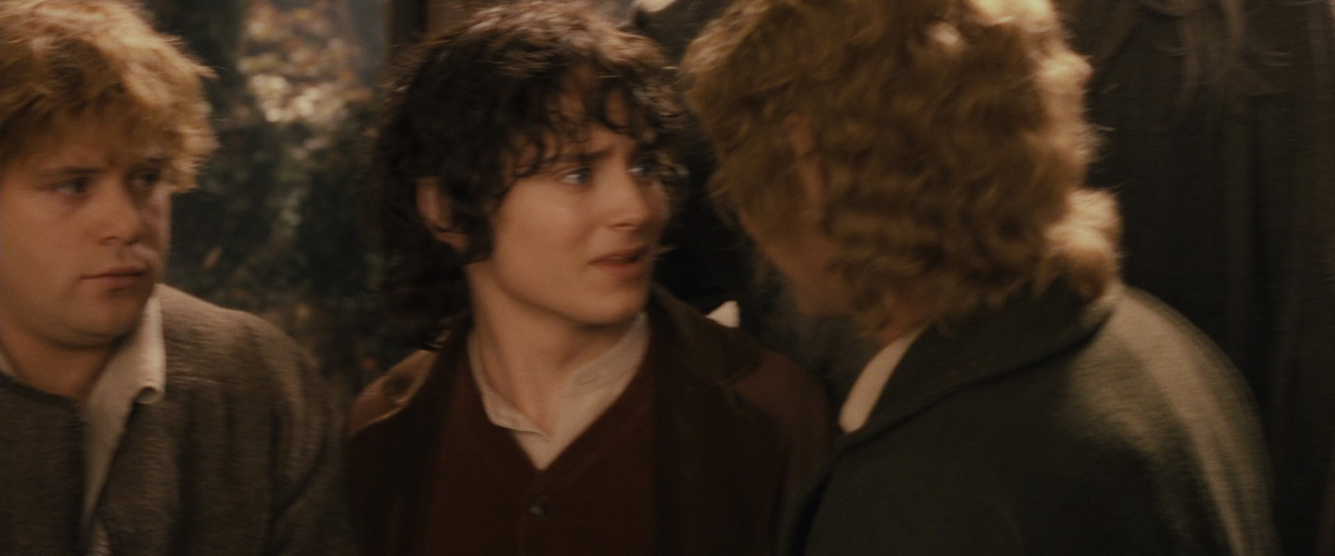 The Lord of the Rings: The Fellowship of the Ring (2001) HD screenshot 12359