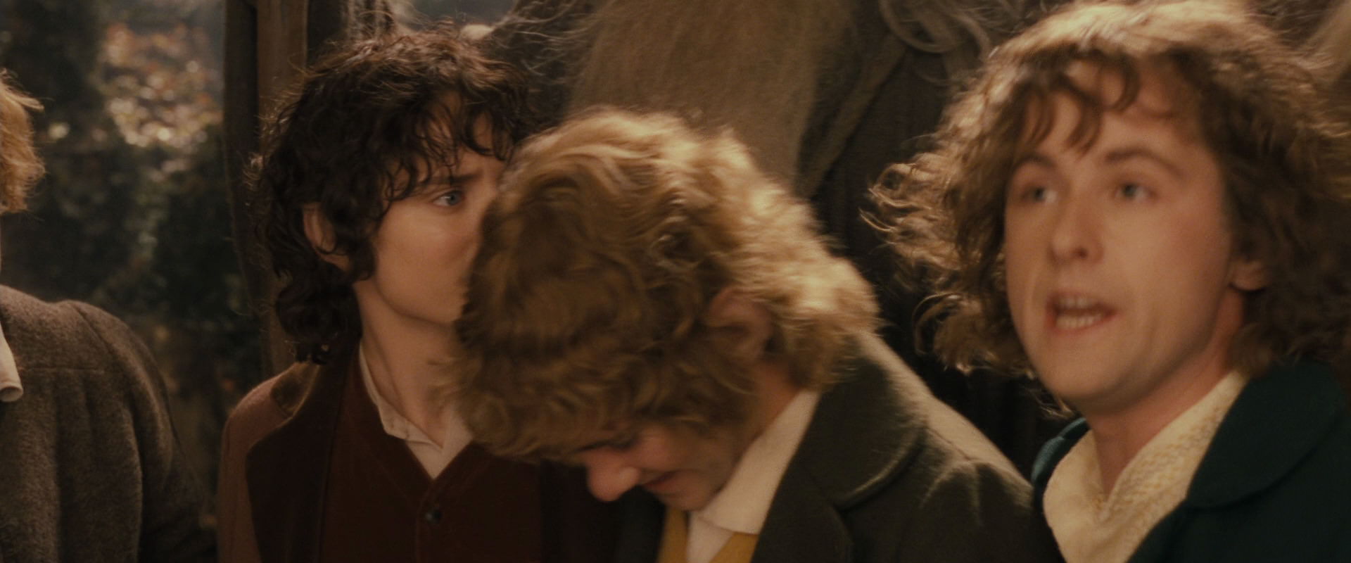 The Lord of the Rings: The Fellowship of the Ring (2001) screencap 12360