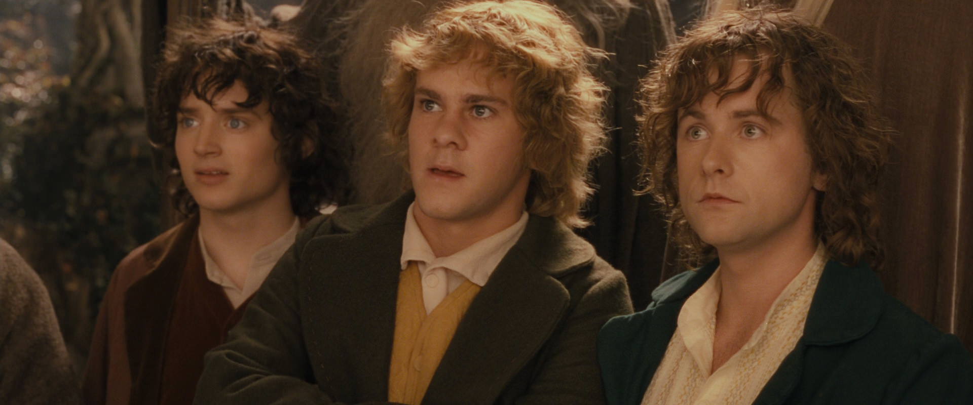 The Lord of the Rings: The Fellowship of the Ring (2001) screencap 12369