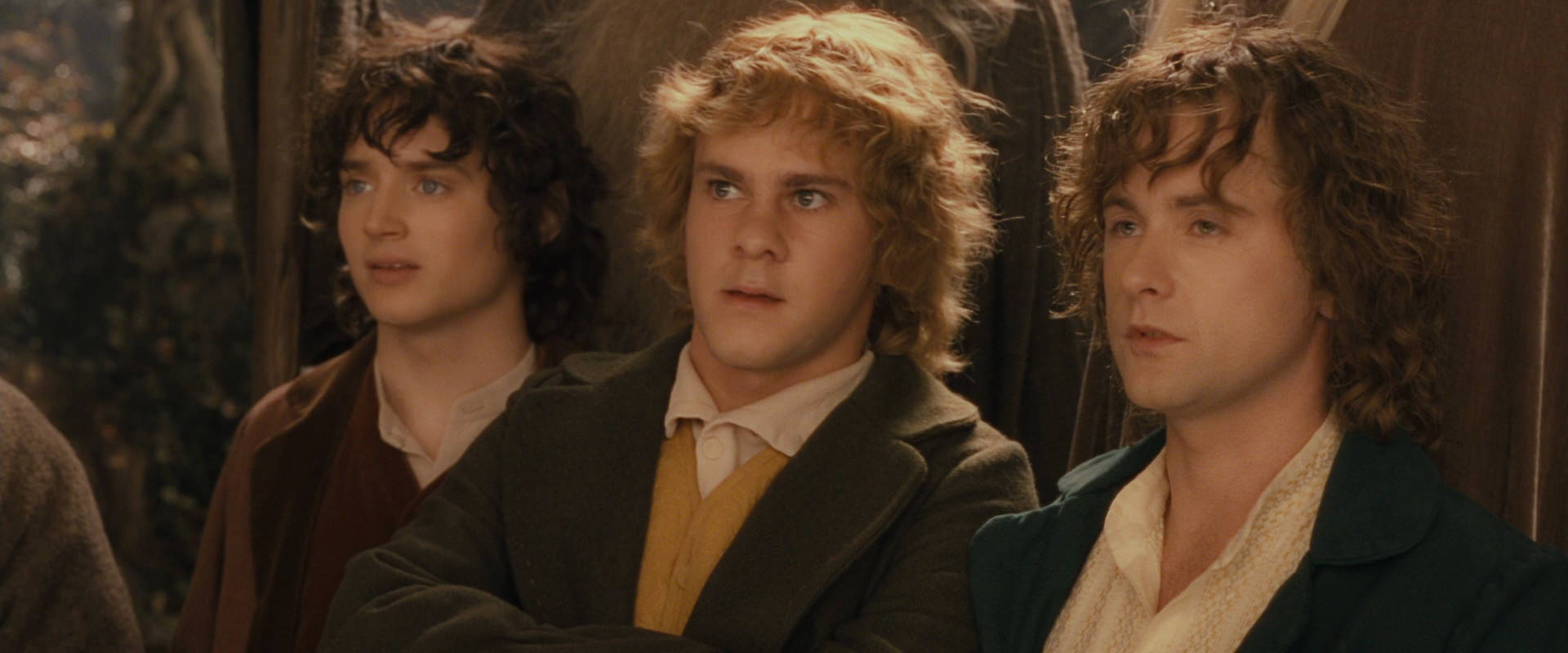 The Lord of the Rings: The Fellowship of the Ring (2001) movie still 12370