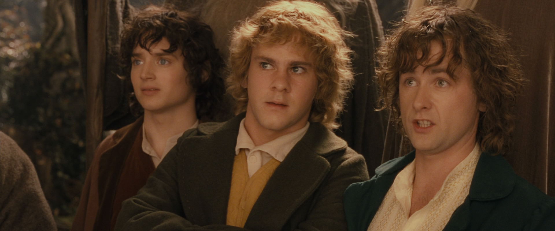 The Lord of the Rings: The Fellowship of the Ring (2001) HD screenshot 12371